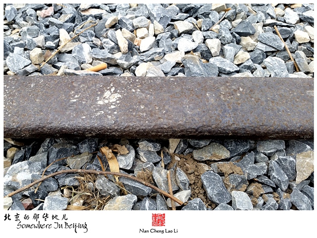 查看更多精彩图片