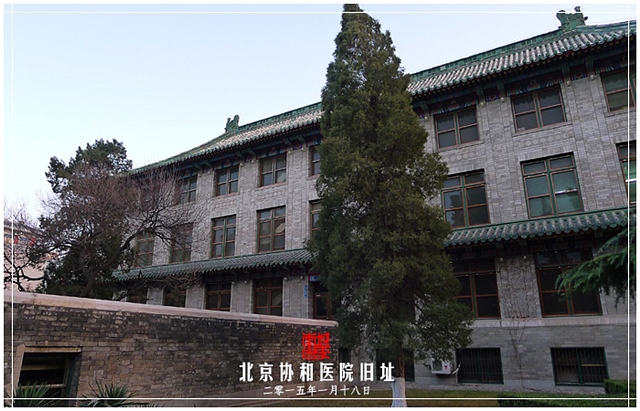 查看更多精彩图片