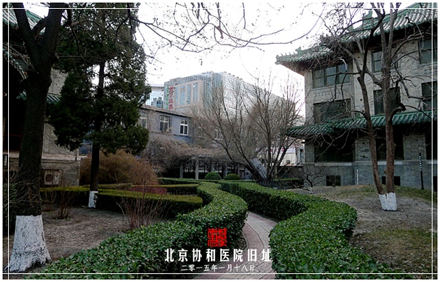 查看更多精彩图片