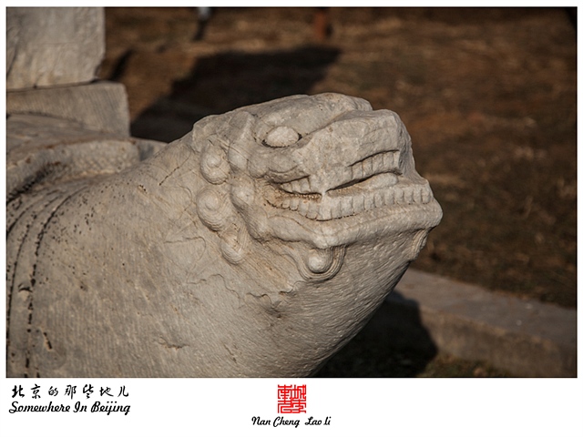 查看更多精彩图片