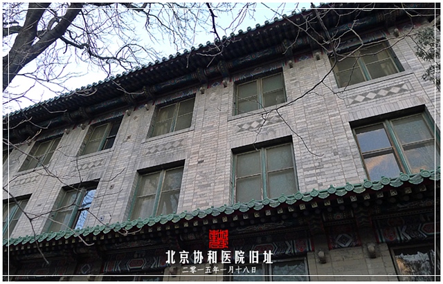 查看更多精彩图片