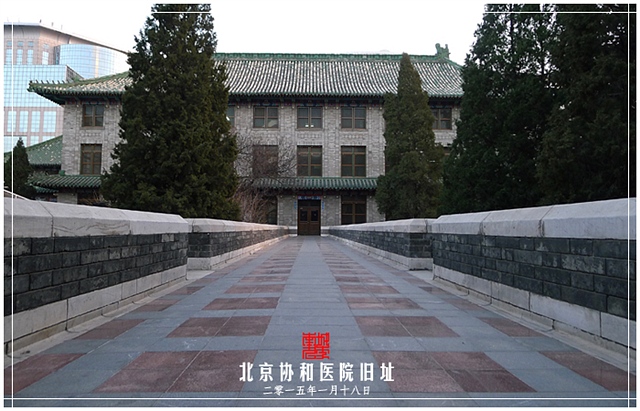 查看更多精彩图片