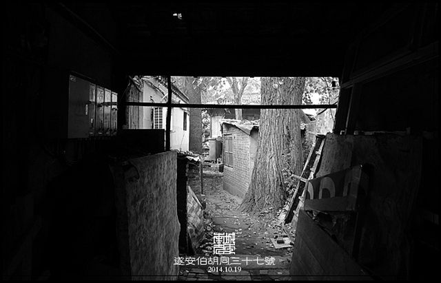 查看更多精彩图片