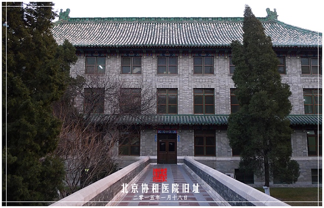 查看更多精彩图片