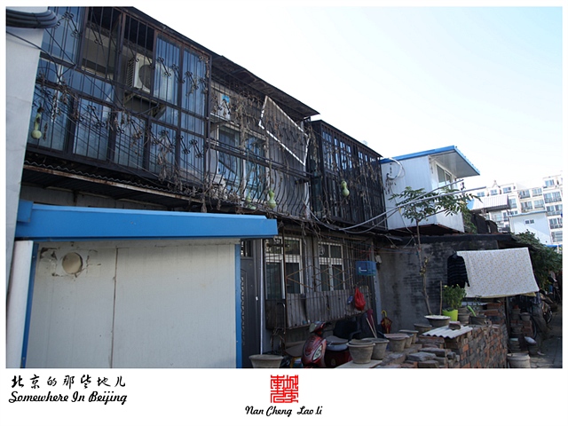 查看更多精彩图片