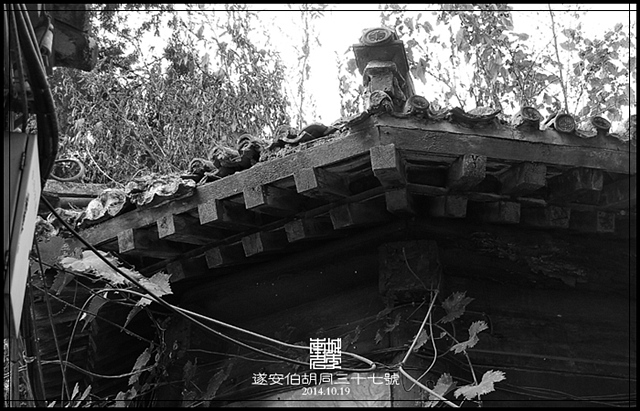 查看更多精彩图片