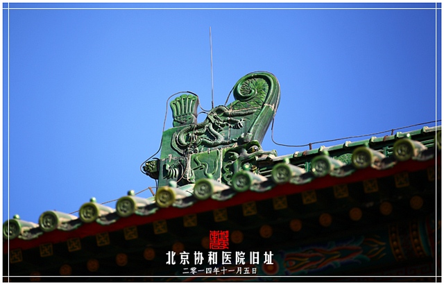 查看更多精彩图片