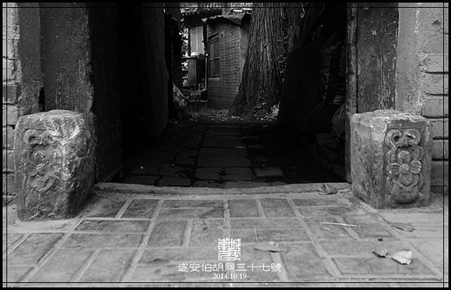 查看更多精彩图片
