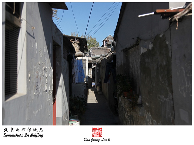 查看更多精彩图片