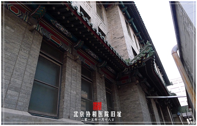 查看更多精彩图片