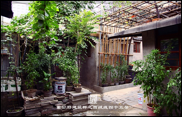 查看更多精彩图片