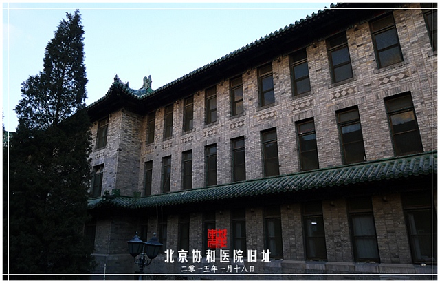 查看更多精彩图片