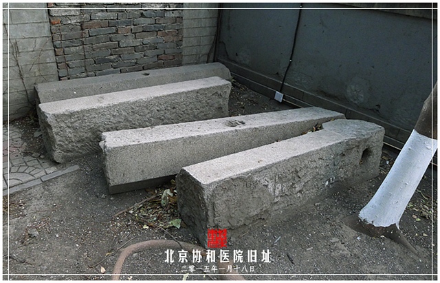查看更多精彩图片
