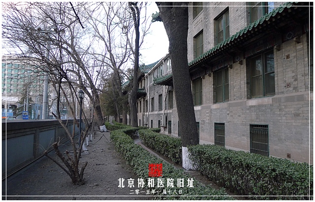查看更多精彩图片