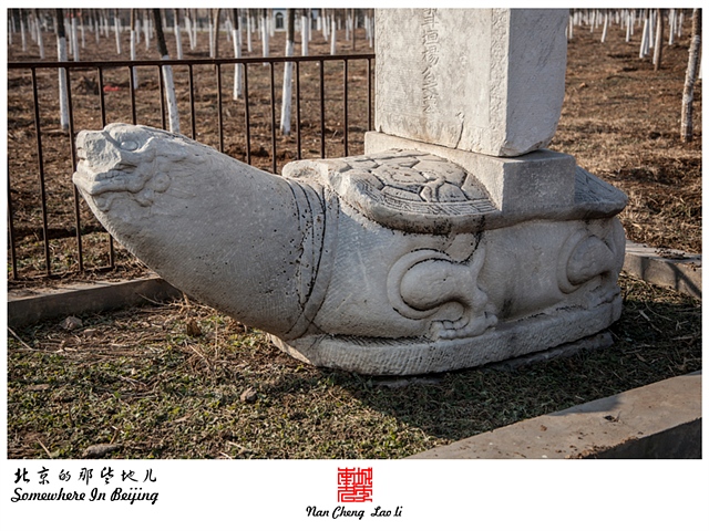 查看更多精彩图片