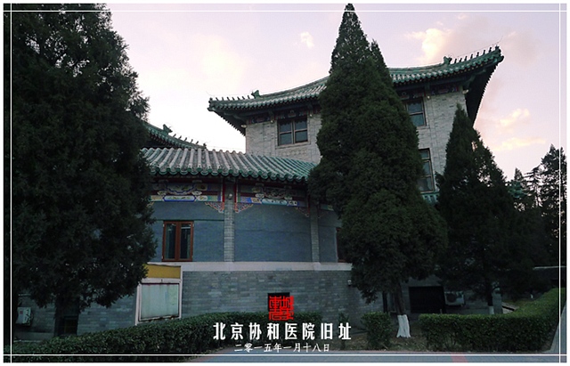 查看更多精彩图片
