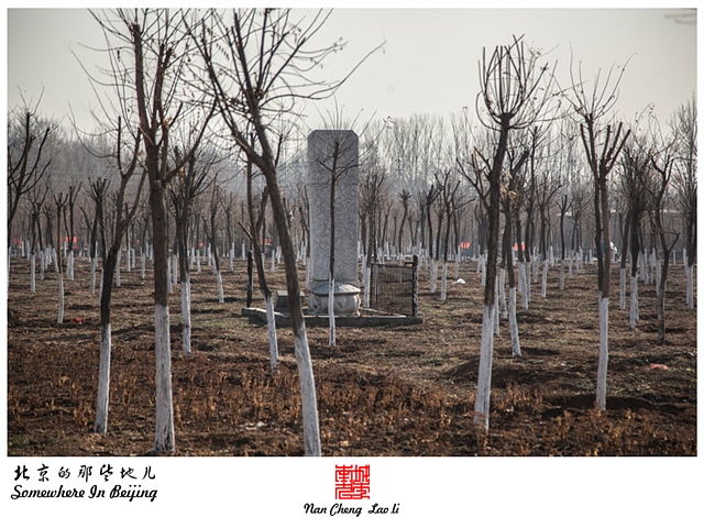 查看更多精彩图片