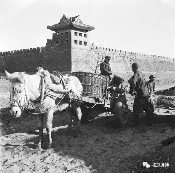 1951年3月，北京广安门外肥料厂