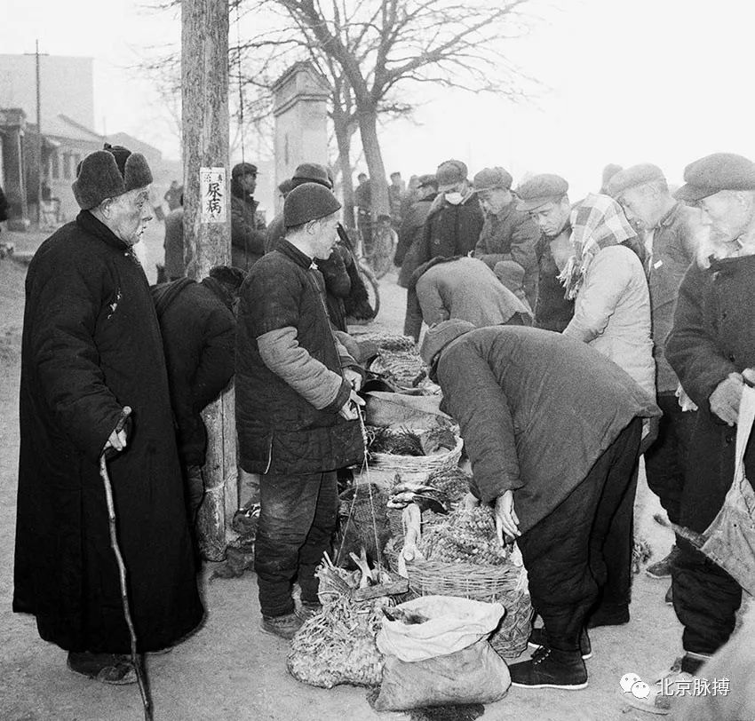 1956年11月，农民在北京西郊海淀镇泄水湖自由市场上出售鲜鱼。注意木头电线杆上的小广告，那时就有“牛皮癣”