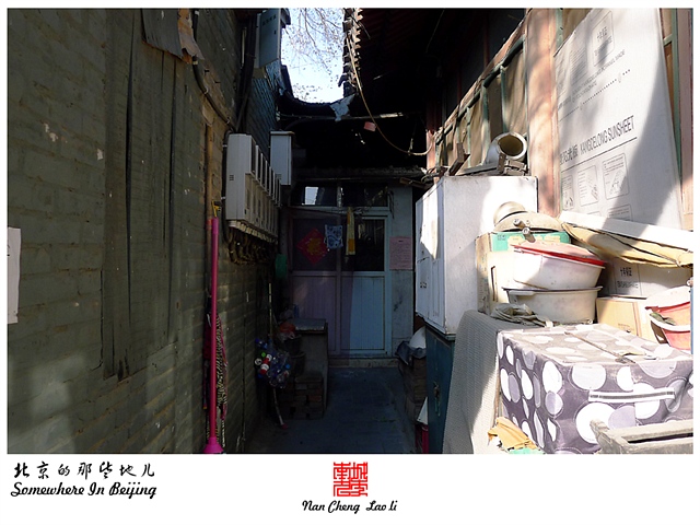 查看更多精彩图片
