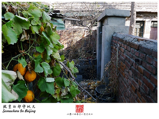 查看更多精彩图片