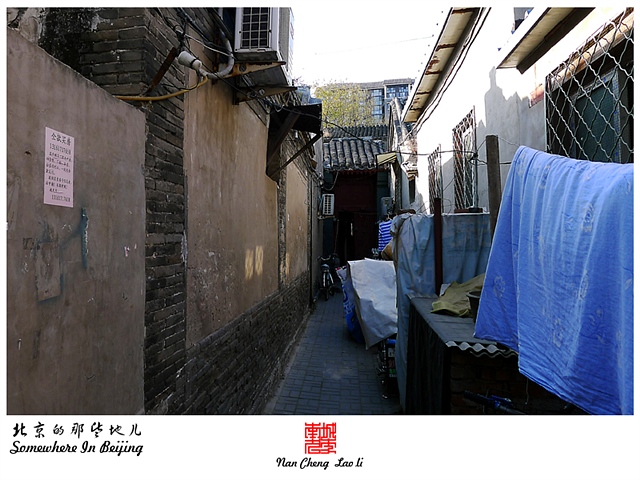 查看更多精彩图片