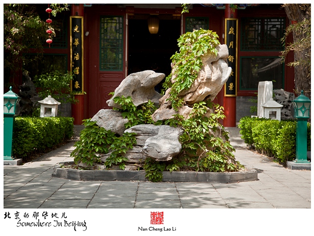 查看更多精彩图片