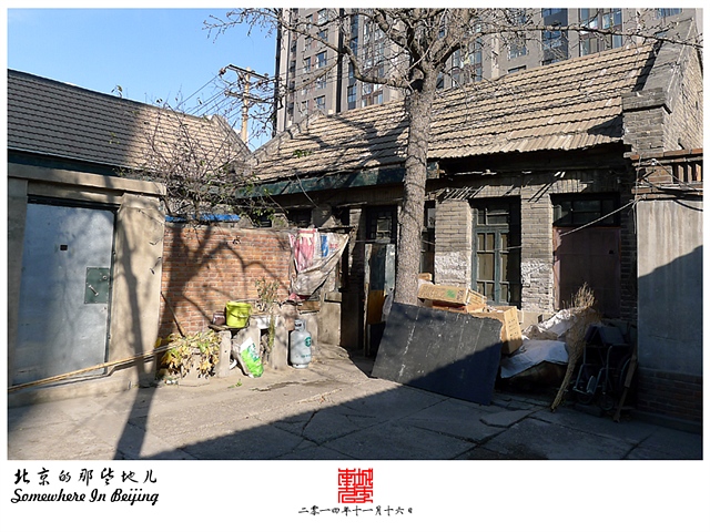 查看更多精彩图片