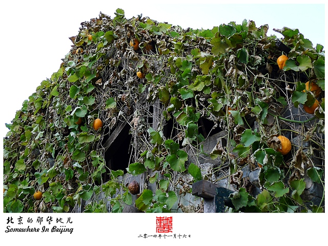 查看更多精彩图片