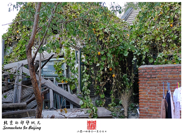 查看更多精彩图片