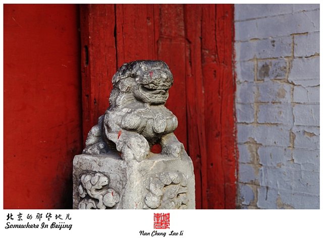 查看更多精彩图片
