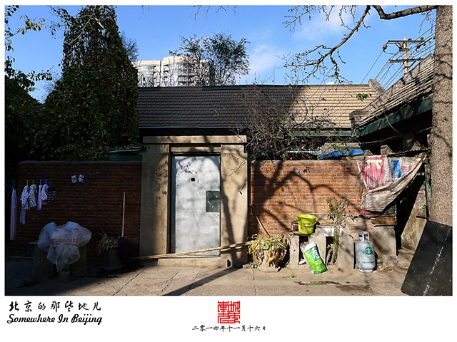 查看更多精彩图片