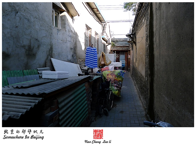查看更多精彩图片