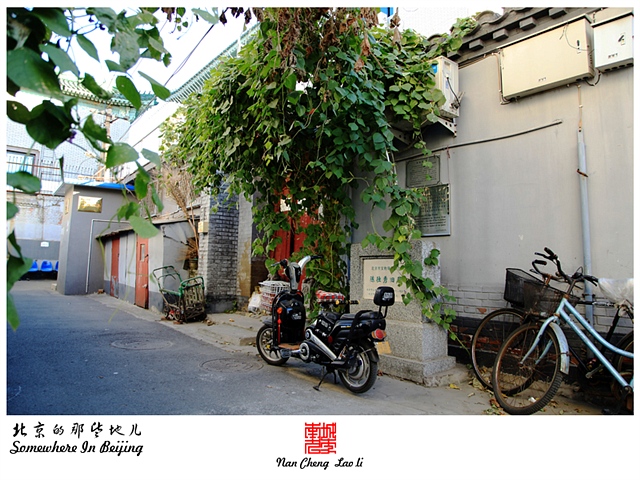 查看更多精彩图片