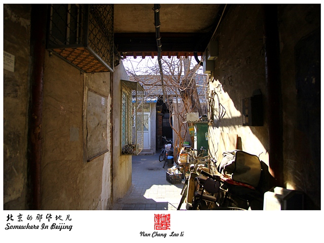 查看更多精彩图片