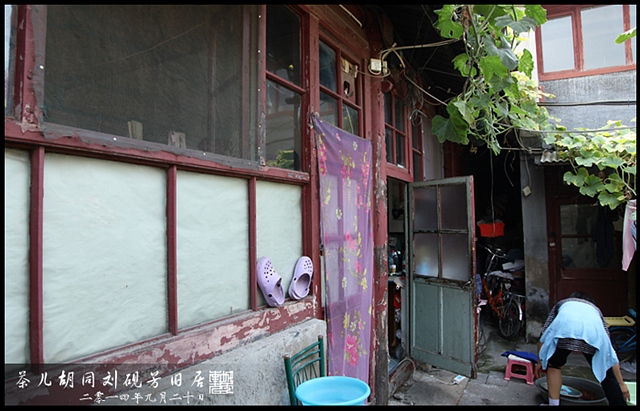 查看更多精彩图片