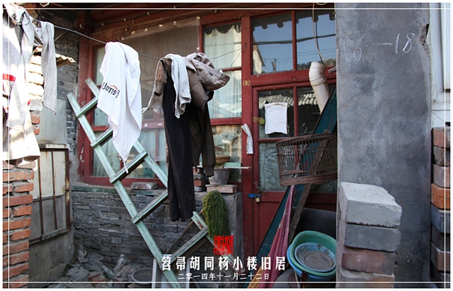 查看更多精彩图片