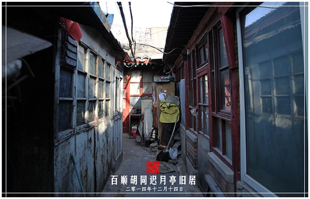 查看更多精彩图片