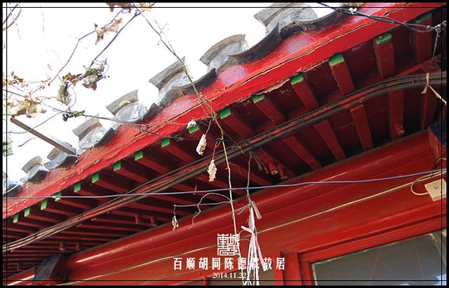 查看更多精彩图片