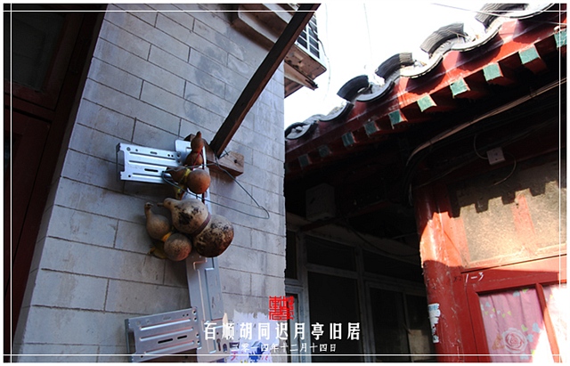 查看更多精彩图片
