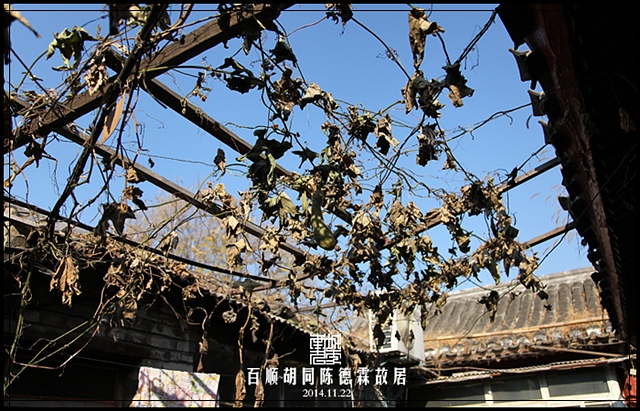 查看更多精彩图片