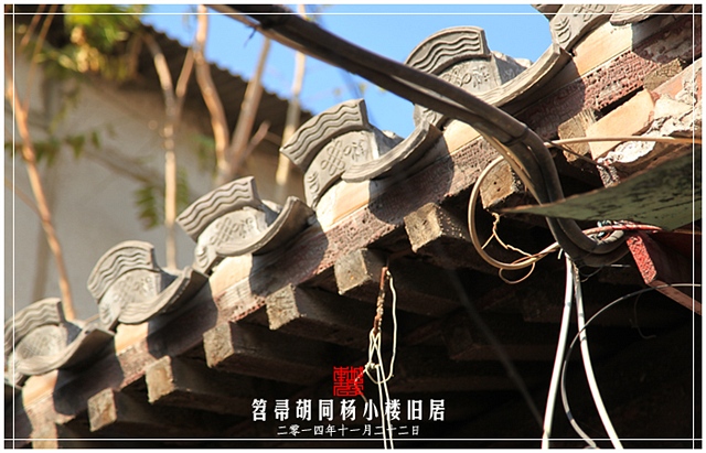 查看更多精彩图片