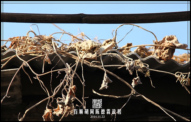 查看更多精彩图片