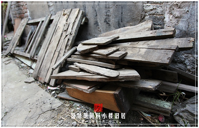 查看更多精彩图片