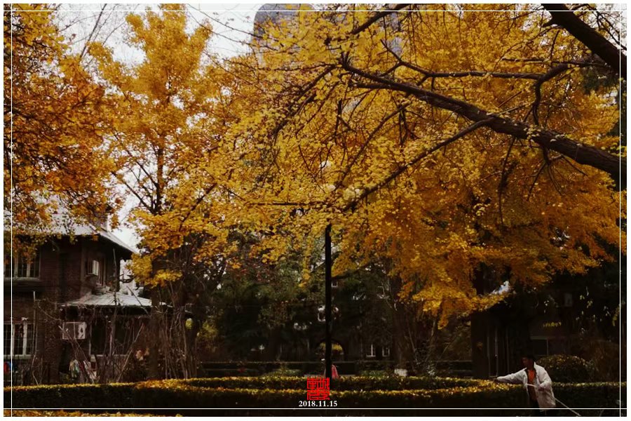 北京城的秋末遗韵