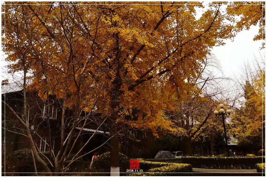 北京城的秋末遗韵