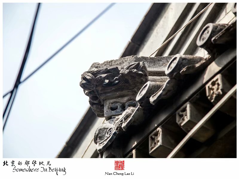 奋章胡同二十一号