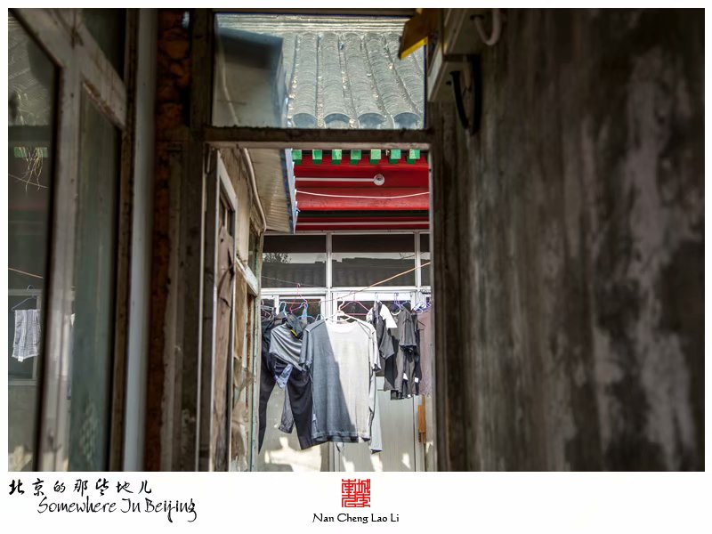 奋章胡同二十一号