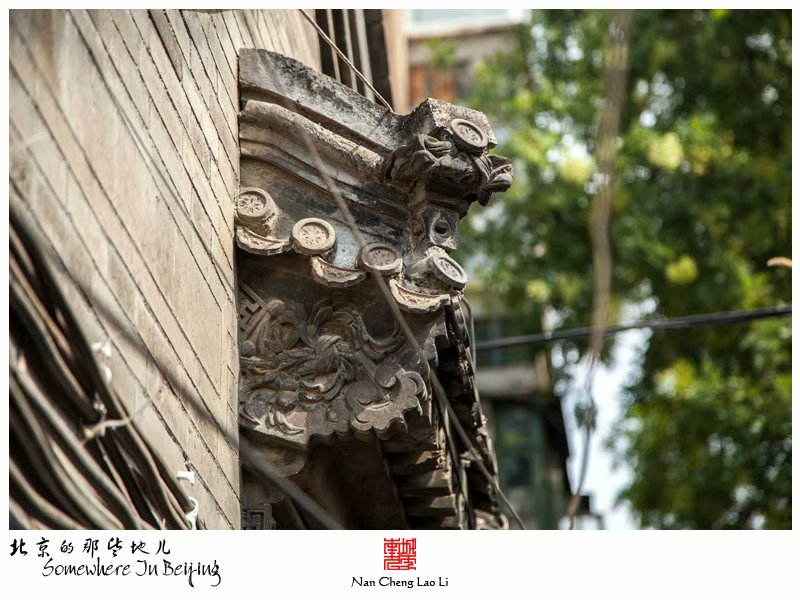 奋章胡同二十一号