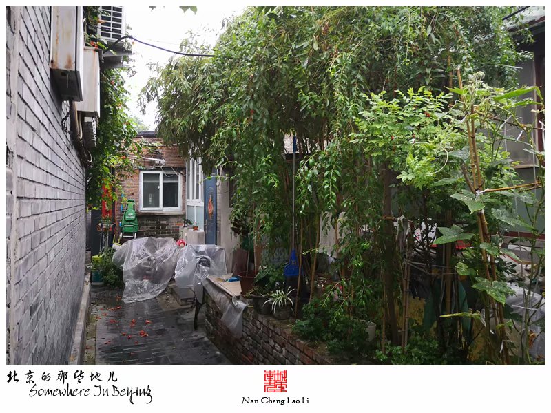 陟山门街十三号院记录（杂院篇）